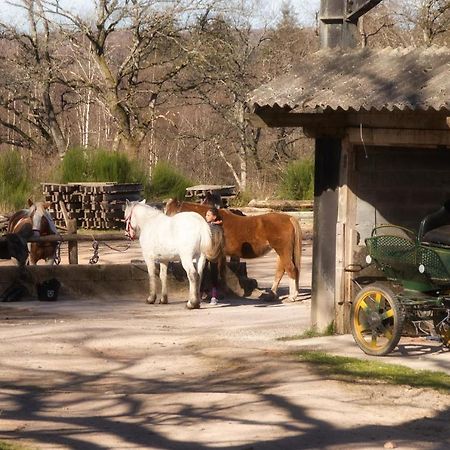 Domaine Du Bois Du Loup Lägenhet Saint-Agnan  Exteriör bild