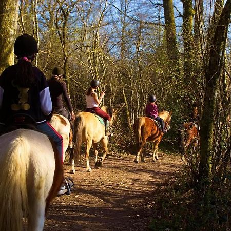 Domaine Du Bois Du Loup Lägenhet Saint-Agnan  Exteriör bild