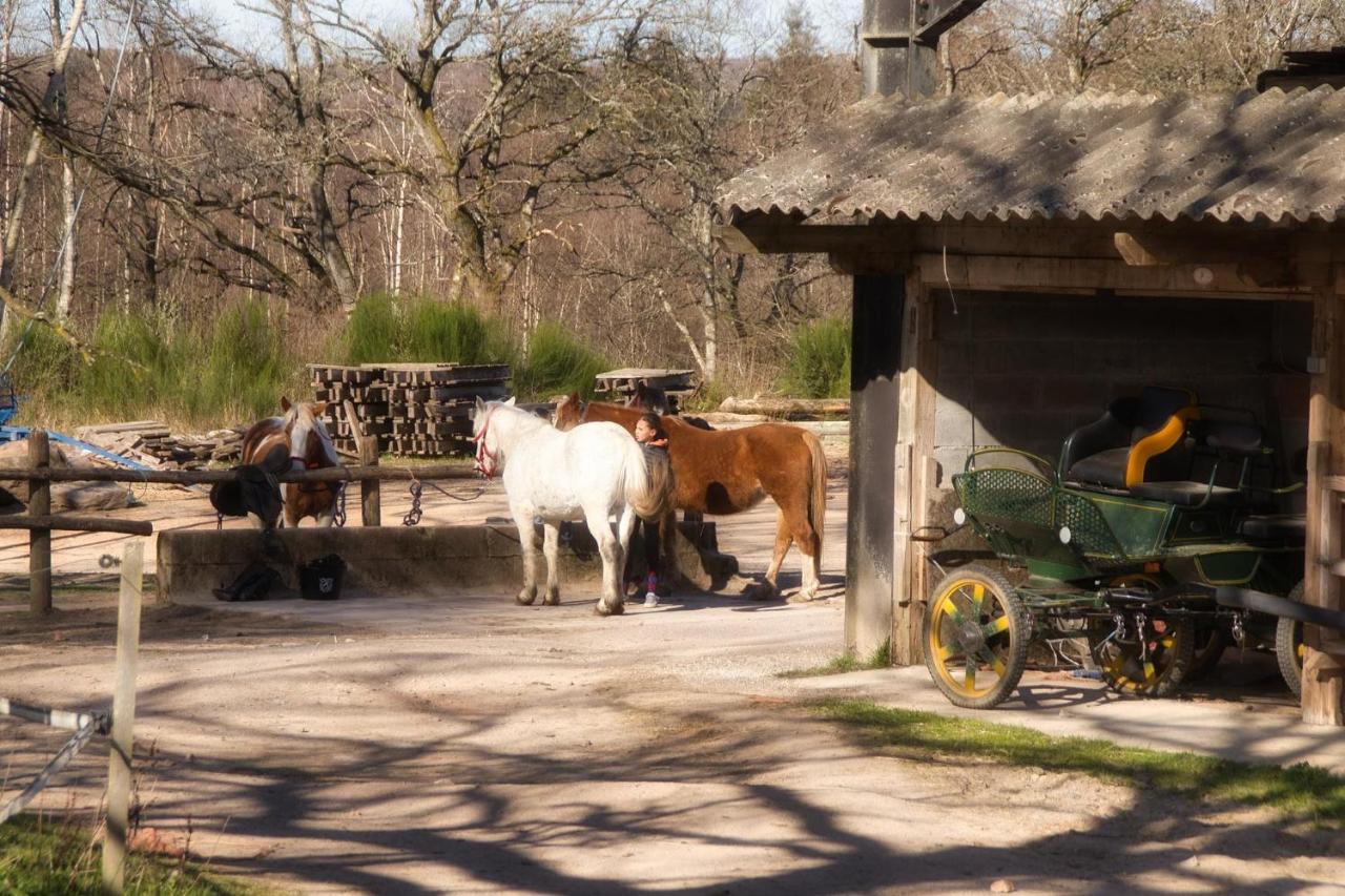 Domaine Du Bois Du Loup Lägenhet Saint-Agnan  Exteriör bild