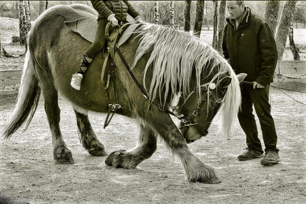 Domaine Du Bois Du Loup Lägenhet Saint-Agnan  Exteriör bild